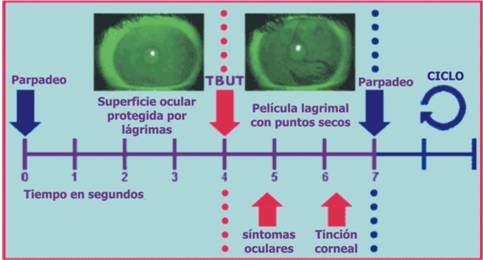 Ocular Protection Index